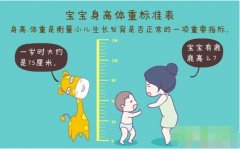 超声波宅男视频色版APP正确测量方法标准身高体
