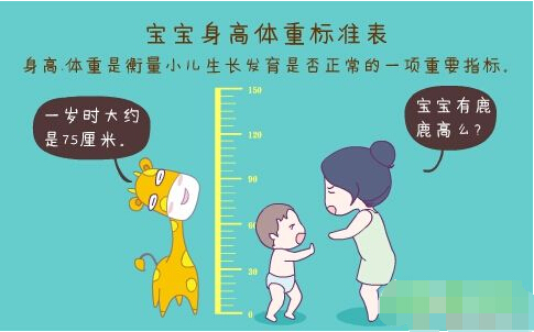 超声波宅男视频色版APP正确测量方法标准身高体重表 超声波宅男视频色版APP正确测量方法标准身高体重表