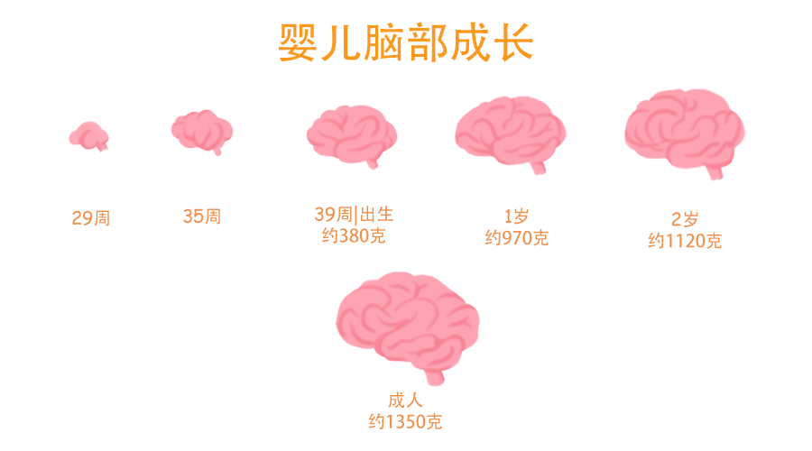 儿童智力测试评估系统有效促进儿童智力的发展 儿童智力测试评估系统有效促进儿童智力的发展