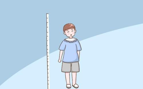 超声波宅男视频色版APP生活水平提高了孩子长高的关键期是哪几个 超声波宅男视频色版APP生活水平提高了孩子长高的关键期是哪几个
